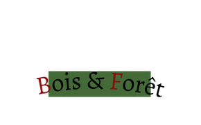 Bois et Forêt Bois et Forêt